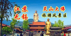 一级色片江苏无锡灵山大佛旅游风景区